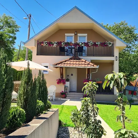 Jovana - Self Check In