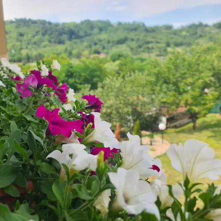 Jovana - Self Check In Villa *