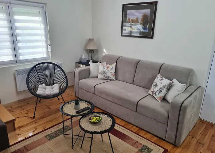 Jovana - Self Check In ヴィラ Čačak